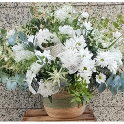 Cesta de Margaritas Silvestre - Imagen 1