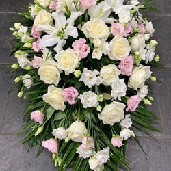 Lagrimal en tonos pastel - Imagen 1