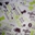 Papel perfumado "Coffee" - Imagen 1
