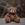 Peluches - Imagen 1