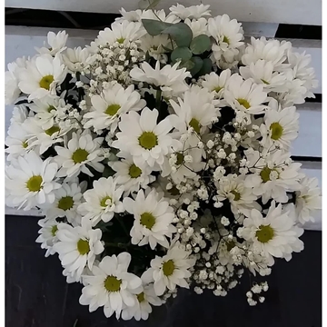 Ramo de Margaritas - Imagen 1