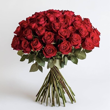 Ramo de Rosas Rojas (Tallo 70 cm) - Imagen 1