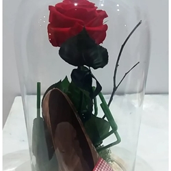 Rosa Eterna Roja + Zapato de Chocolate - Imagen 1