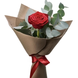 Rosa Roja para regalo - Imagen 1